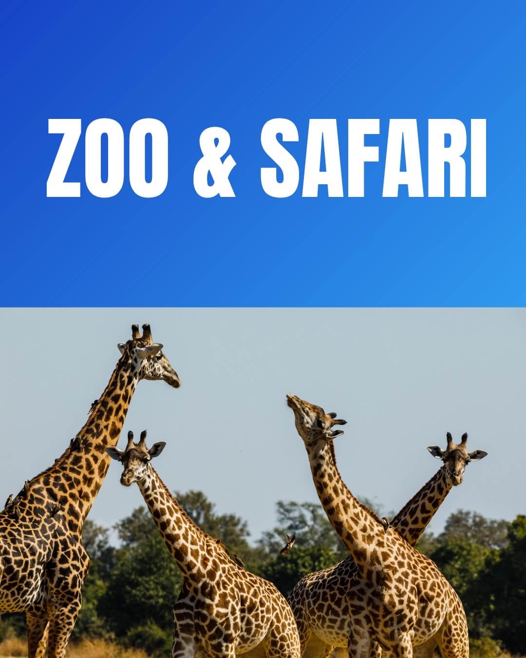 Werribee Safari dan Melbourne Zoo