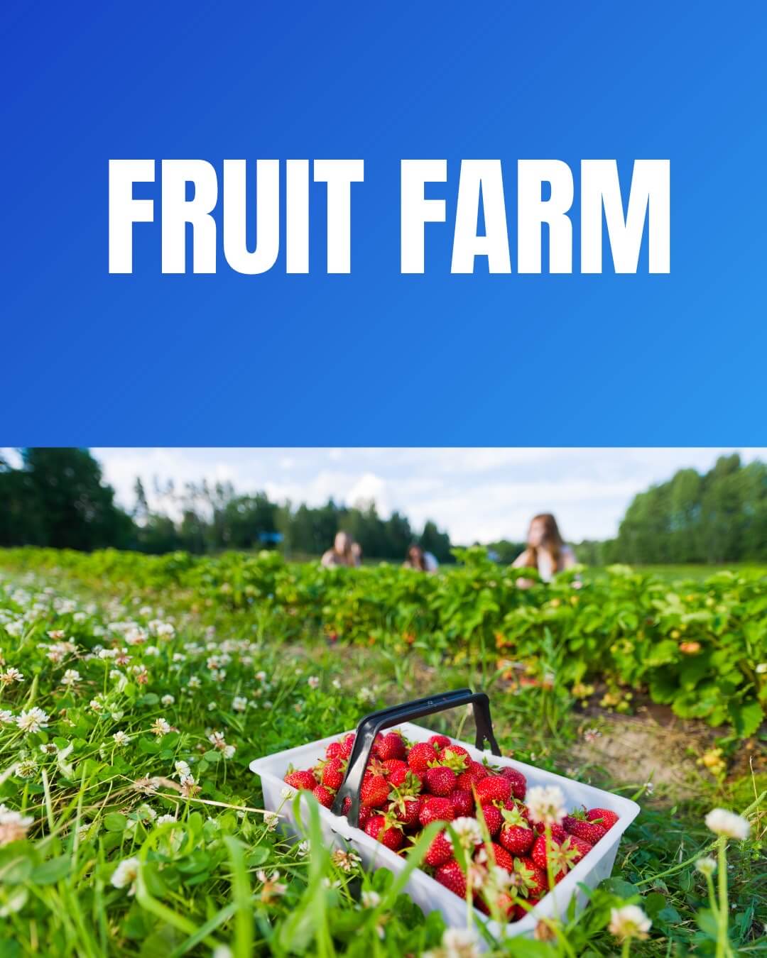 Kebun Buah Melbourne