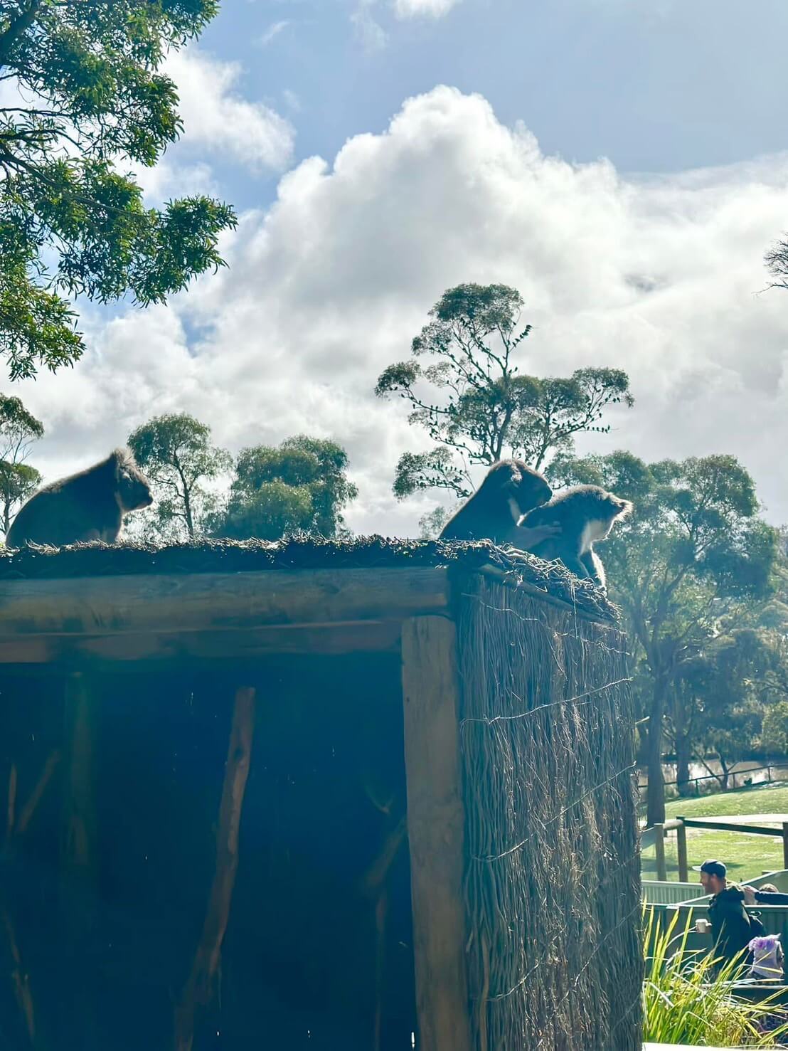 Ballarat Wildlife Park Tickets