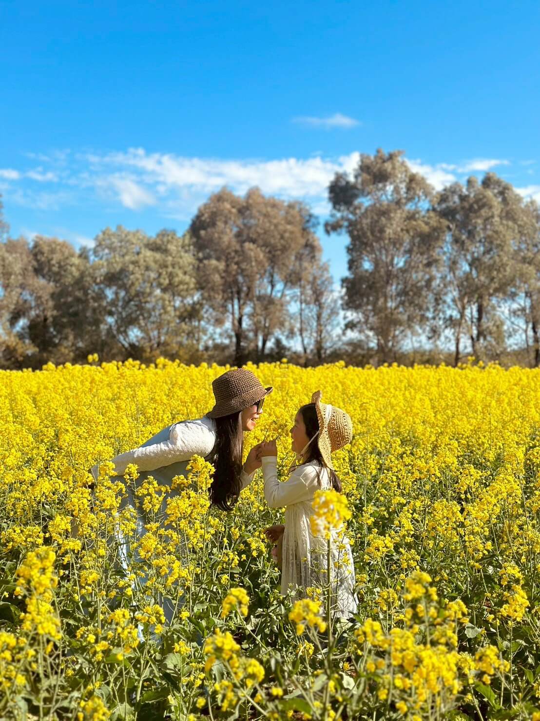 Carnella Canola Walk 13