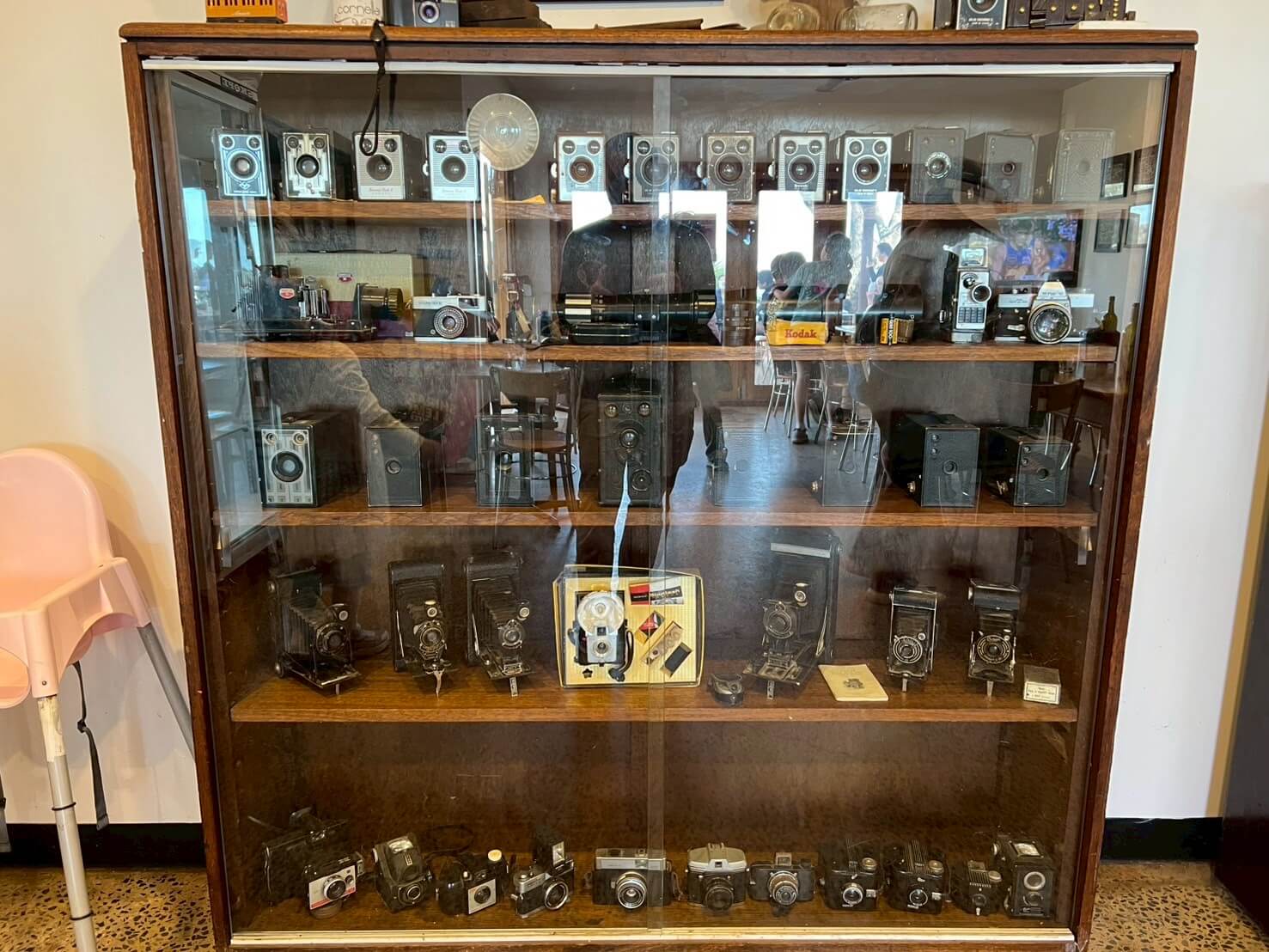 Carnella Canola Walk 14