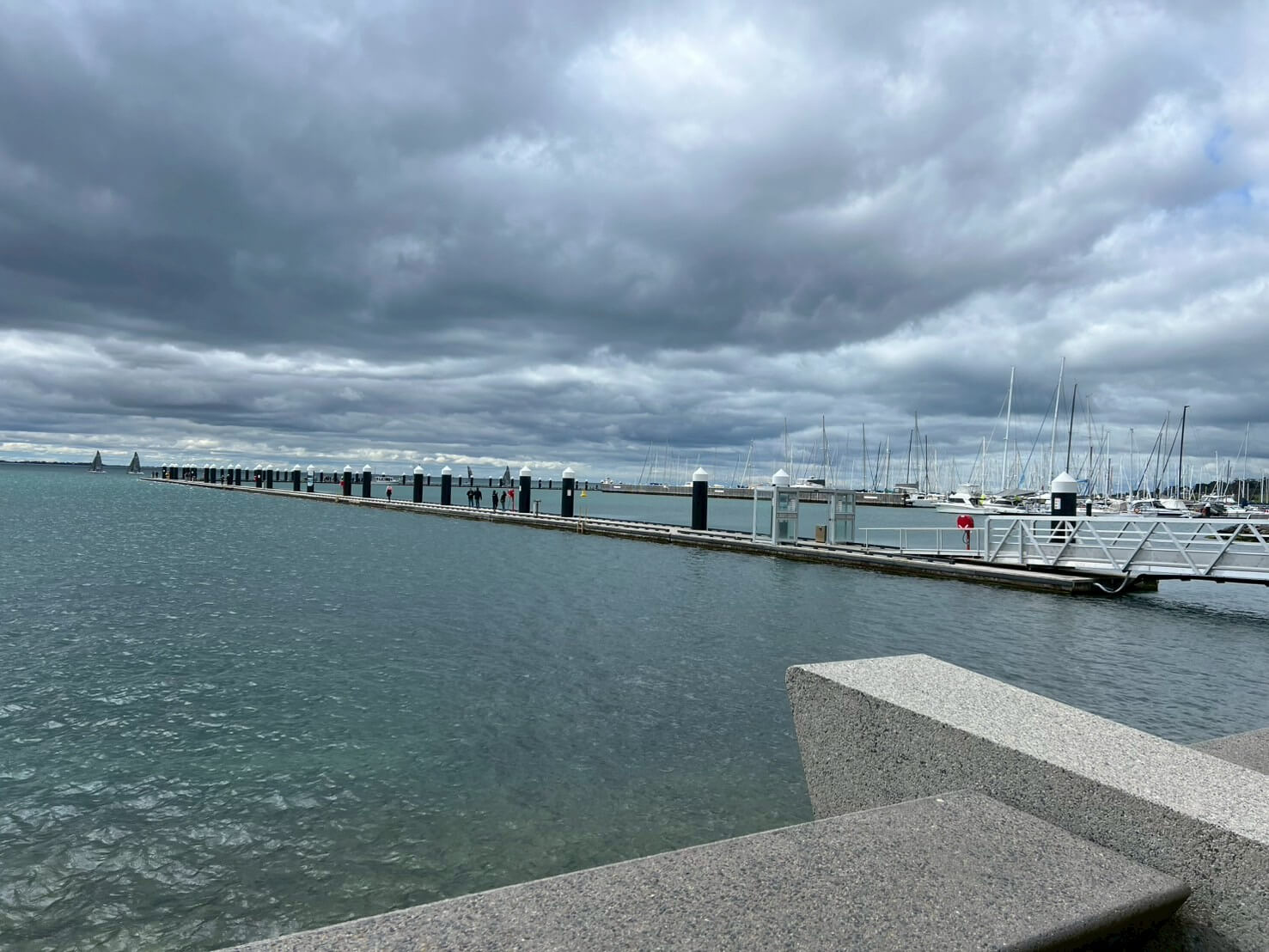 Geelong 15