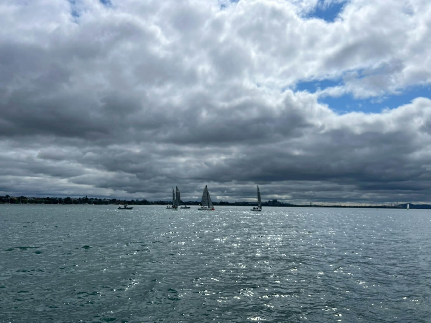 Geelong 19