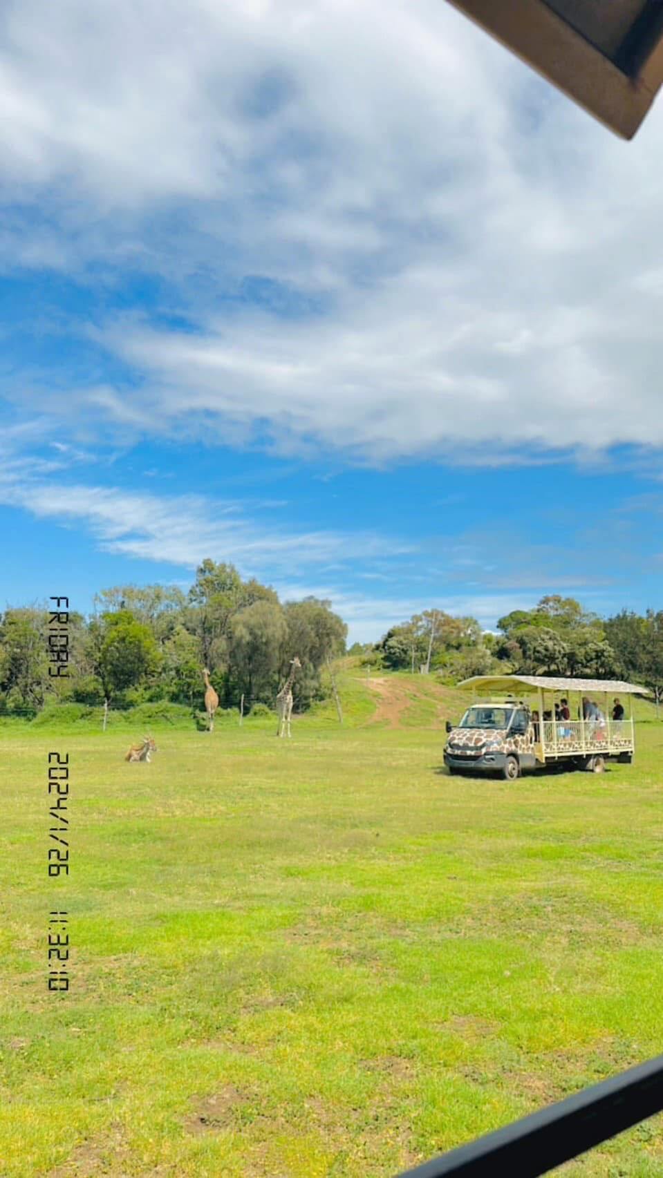 Werribee Safari 1