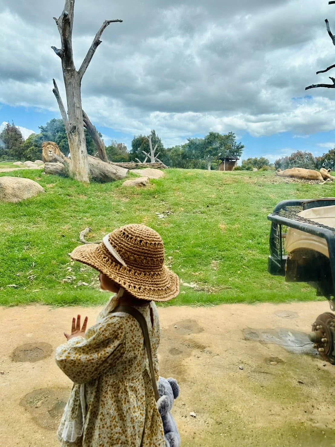 Werribee Safari 2