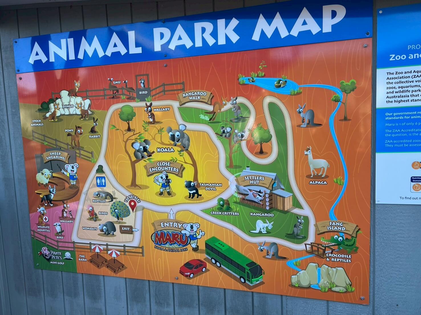 maru koala animal park 10