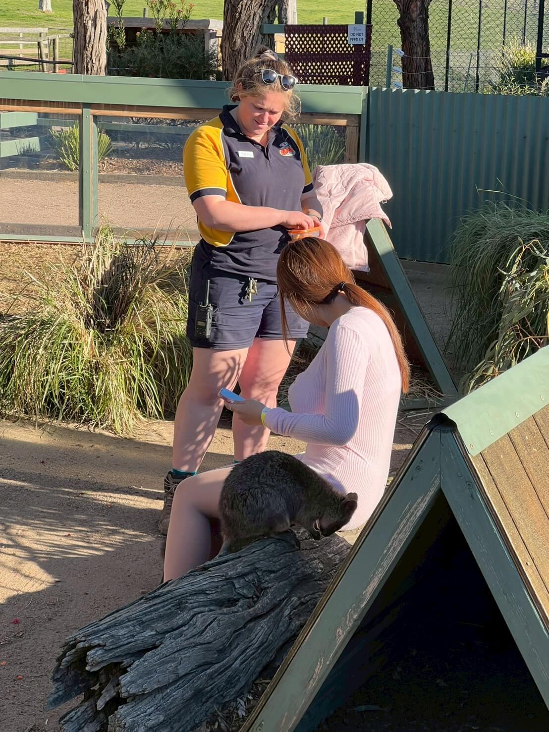 maru koala animal park 24