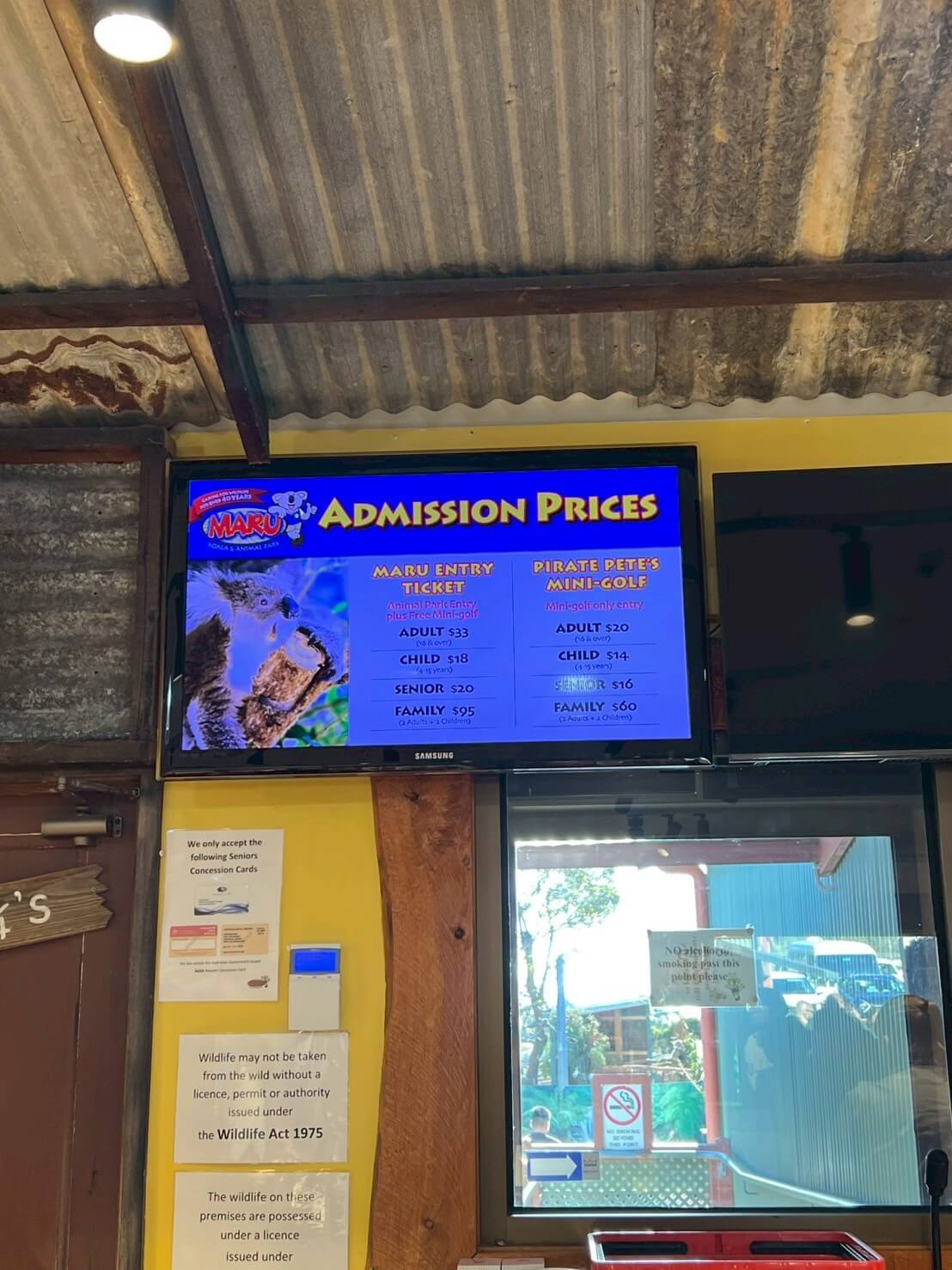 maru koala animal park 30