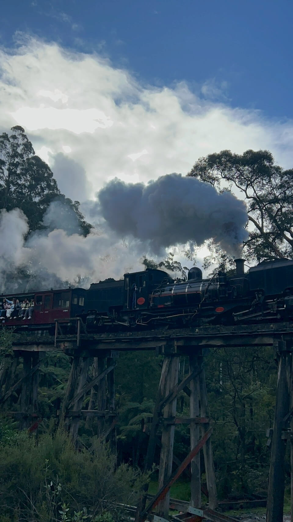 puffing billy steam train 1.