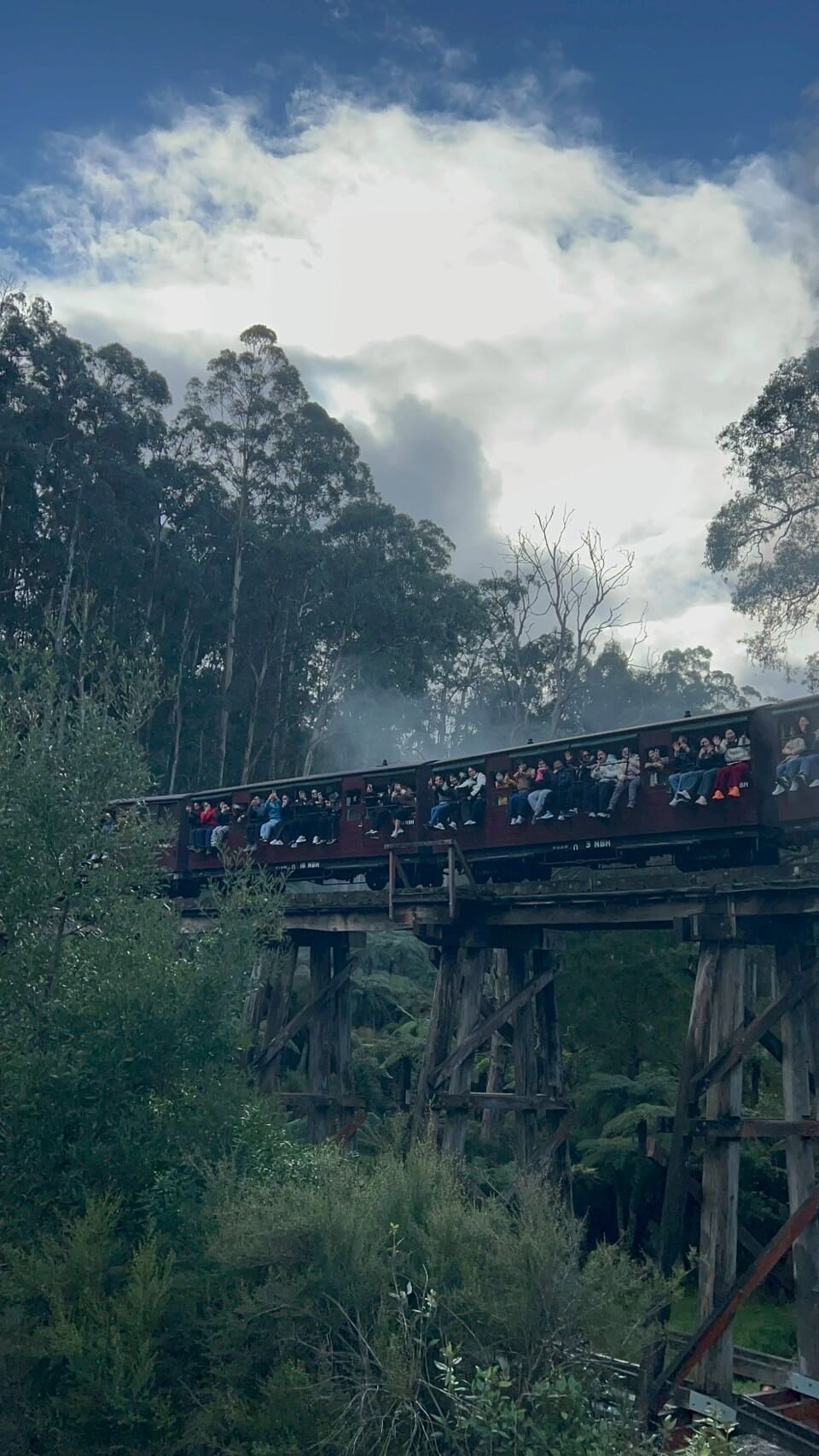 puffing billy steam train 2.