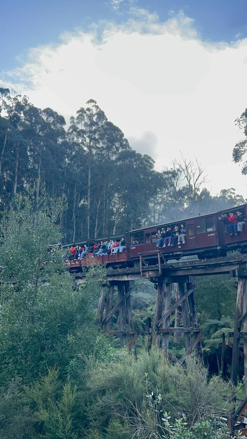 puffing billy steam train 3.