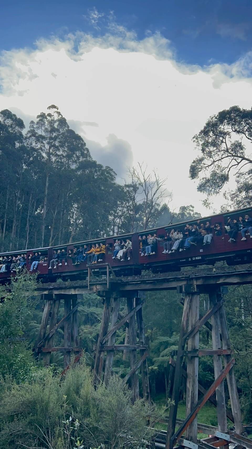 puffing billy steam train 4.