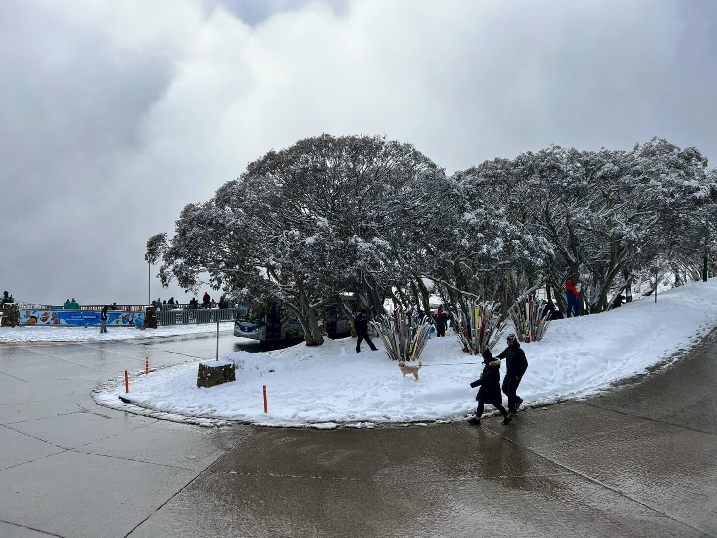 Mount Buller 22