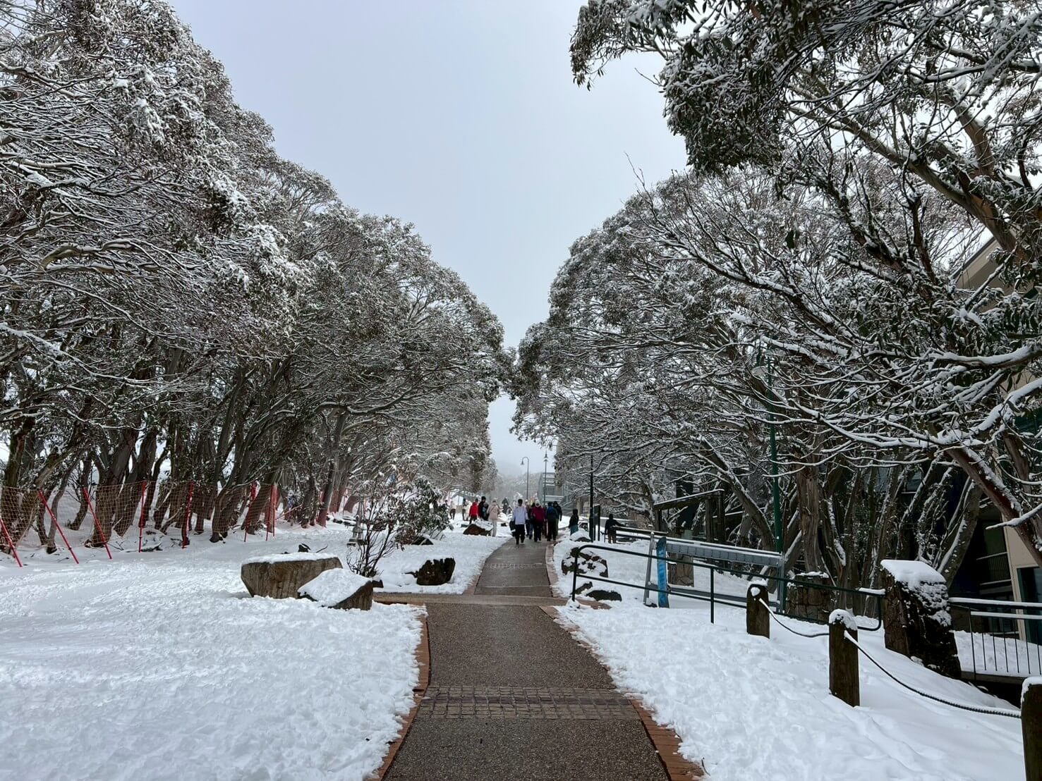 Mount Buller 3